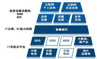 天源迪科（300047）更新研究報(bào)告 聚焦政企與運(yùn)營商雙輪驅(qū)動，深化軟件外包服務(wù)布局