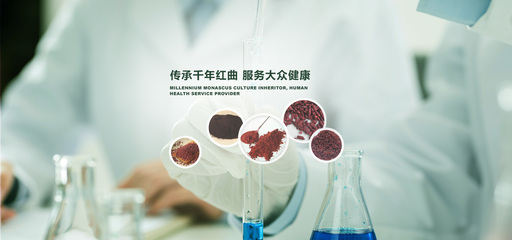 探索武漢佳成生物制品的紅曲世界 功能、發(fā)酵與釀造紅曲的多元應(yīng)用