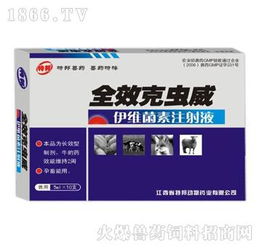 西安坤昱生物制品連鎖有限責任公司 日用品技術研發的創新驅動與未來展望